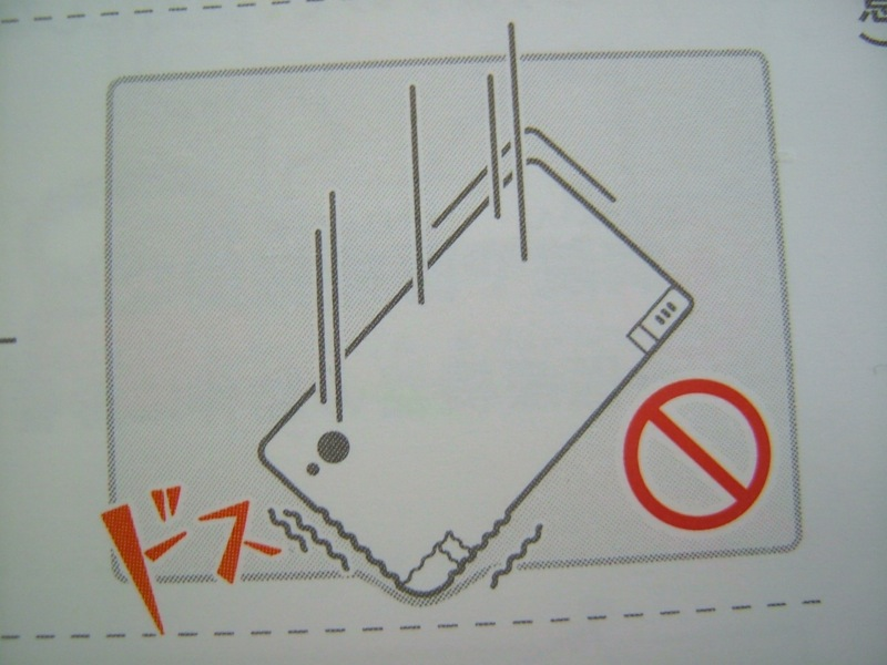 Illustration for article titled Hey Dummy, Don't Microwave The DSi (And Other Nintendo Tips)